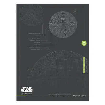 Star Wars: Rogue One Death Star Plans Canvas Print