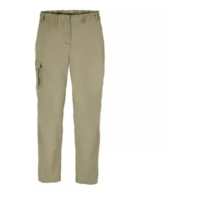 (18 UK L, Pebble) Craghoppers Womens/Ladies Expert Kiwi Trousers