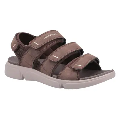 (Brown, 11) Hush Puppies Men's Raul Multi Velcro Sandal Various Colours