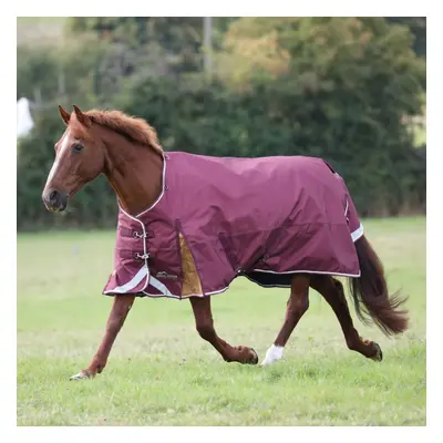 (7' 3", Maroon) Highlander Plus Standard-Neck 100g Horse Turnout Rug