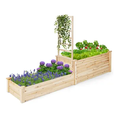 223 cm Raised Garden Bed Wooden Planter W/Trellis for Climbing Vines