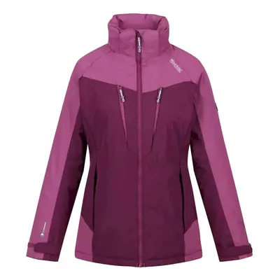 (10 UK, Amaranth Haze/Violet) Regatta Womens/Ladies Calderdale Winter Waterproof Jacket