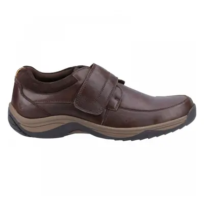 (10 (Adults')) Douglas | Coffee | Men's Riptape Shoes