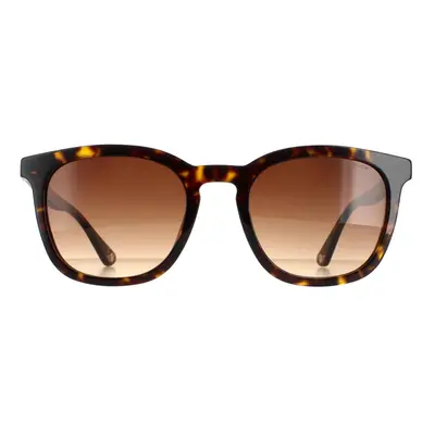 Police Sunglasses SPLB42 Origins 0722 Shiny Dark Havana Brown Gradient