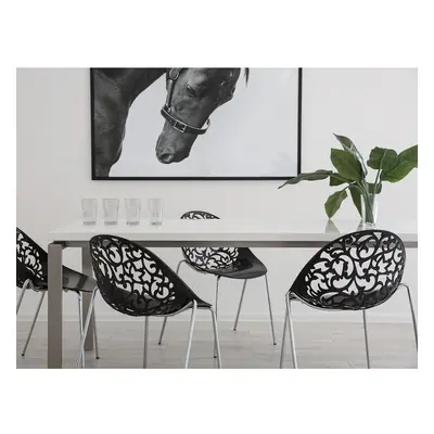 Modern Black Dining Chair (Set of 4) MUMFORD