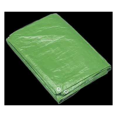 Tarpaulin 6.10 x 12.19m Green