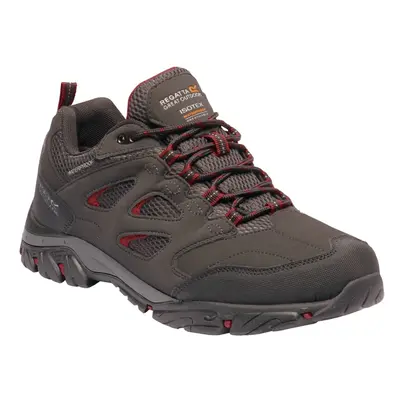 (7 UK, Ash/Rio Red) Regatta Mens Holcombe IEP Low Hiking Boots