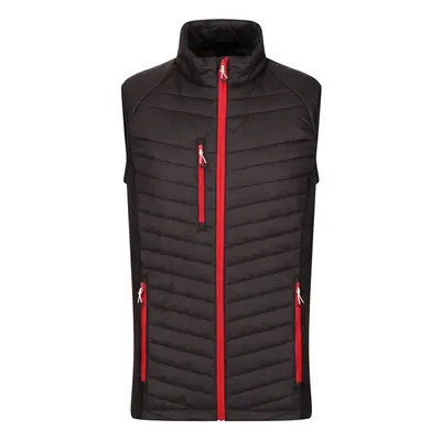 (3XL, Black/Classic Red) Regatta Mens Navigate Quilted Hybrid Gilet