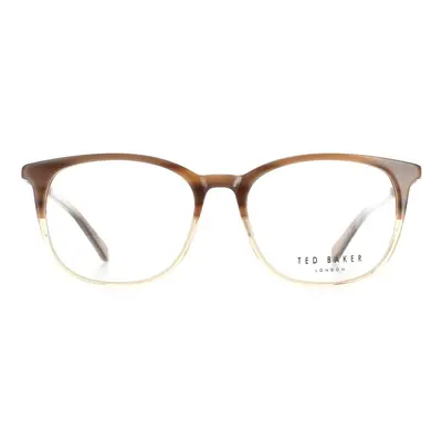 Ted Baker Glasses Frames TB8219 Archer Brown Horn Men