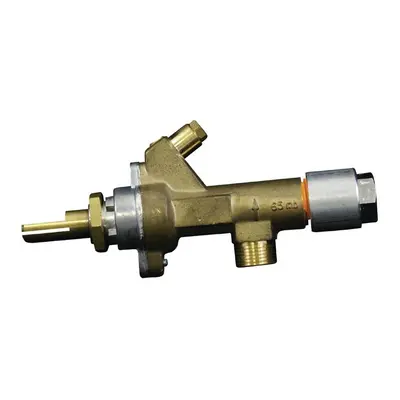 Gas Valve