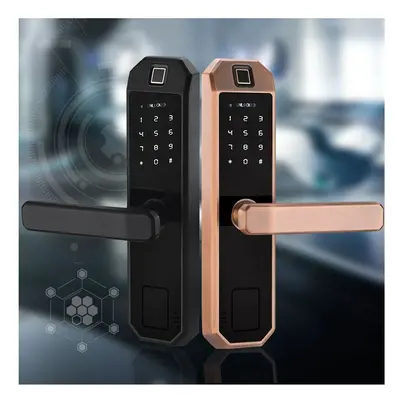 (Black, Double Tongue) Smart Fingerprint Door Lock With Keypad Electronic Intelligent Security L