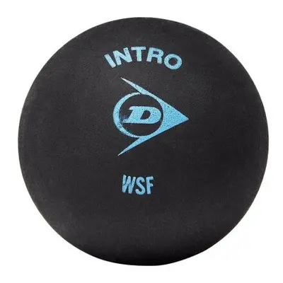 Dunlop Intro Squash Balls (Pack of 12)