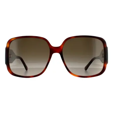 Jimmy Choo Sunglasses TARA/S HA Havana Brown Gradient