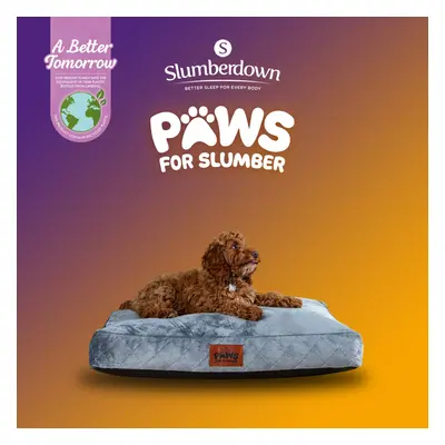 (Grey, Medium) Paws for Slumber Padded Pet Bed UK Made