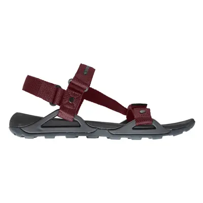 (11 UK, Dark Grey/Pompeian Red) Craghoppers Mens Locke Sandals