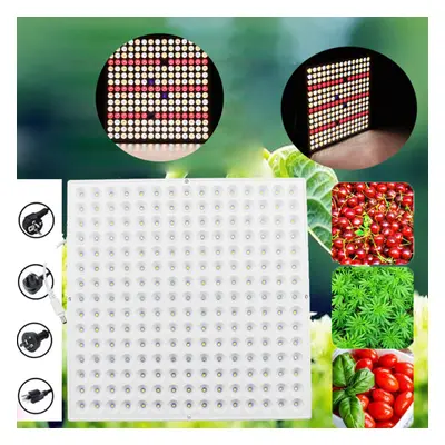 (UK Plug) 300W Full Spectrum LED Grow Light AC90V-265V Plant Lamp For Hydroponics