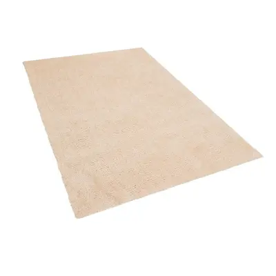 Light Beige Shaggy Rug x cm DEMRE