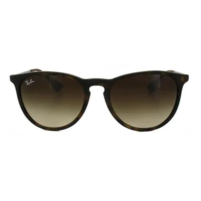 Rayban Sunglasses Erika Rubberised Havana Brown Gradient 865/13