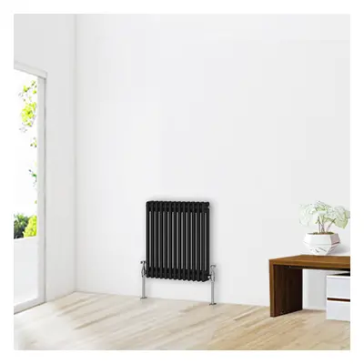 (600 x 605mm-2 Column) NRG Traditional Black Horizontal Vertical Bathroom Cast Iron Radiator