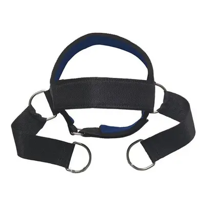 (Without chain) Head Neck Power Training Body Strength Exercise Strap Adjustable Gym Fitness Wei