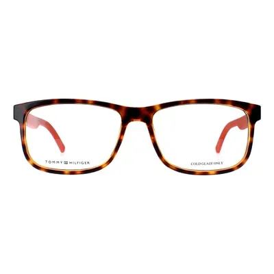 Tommy Hilfiger Glasses Frames TH1446 L9G Havana Orange Men