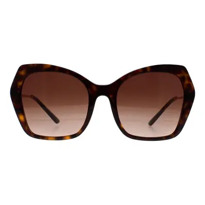 Dolce & Gabbana Sunglasses DG4399 502/13 Havana Brown Gradient