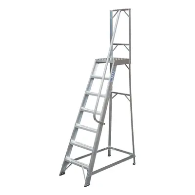 1.7m Heavy Duty Single Sided Fixed Step Ladders Handrail Platform Safety Barrier