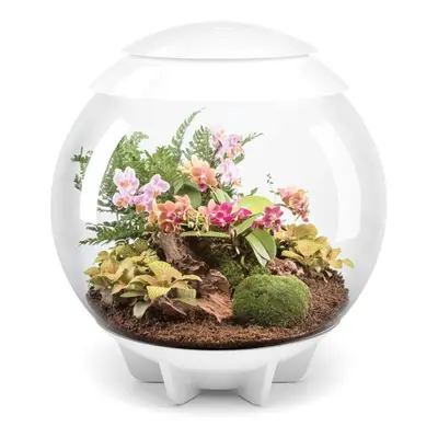 biOrb AIR Litre Automatic Terrarium in White with LED Lighting