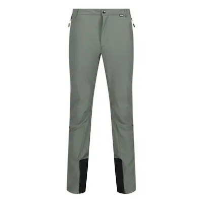 (34R, Agave Green/Ash) Regatta Mens Mountain III Hiking Trousers