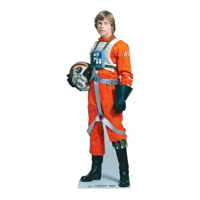 Luke Skywalker X-Wing Pilot Star Wars Lifesize Cardboard Cutout