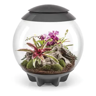 biOrb AIR Litre Automatic Terrarium in Grey with LED Lighting