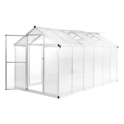 vidaXL Greenhouse Aluminium 13.41 mÂ³ Hothouse For Growing Tomatoes Plant House