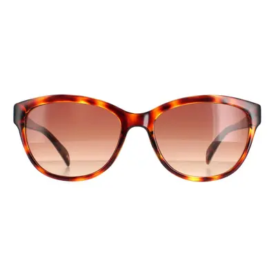 Ted Baker Sunglasses TB1605 Amie Havana Brown Brown Gradient