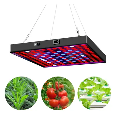 (AU Plug, 169LED) AC85V~265V 81LED/169LED Full Spectrum Grow Light Plant Light with Hanging Kit 