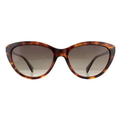 Polaroid Sunglasses PLD 4080/S LA Havana Brown Gradient Polarized