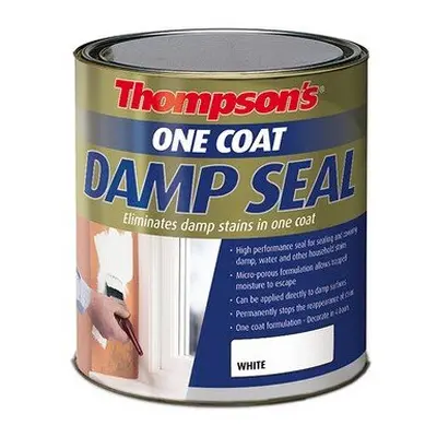 Ronseal Thompsons One Coat Damp Seal Paint 2.5 Litre