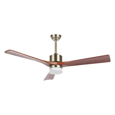 Ceiling Fan with Light ARUWIMI With Remote Brass