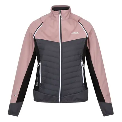 (16 UK, Dusky Rose/Seal Grey) Regatta Womens/Ladies Steren Hybrid Jacket