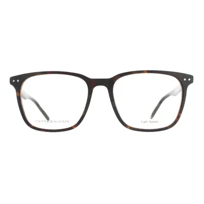 Tommy Hilfiger Glasses Frames TH 086 Havana Men