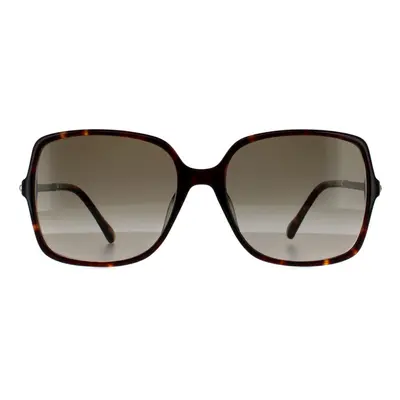 Jimmy Choo Sunglasses EPPIE/G/S HA Havana Brown Gradient