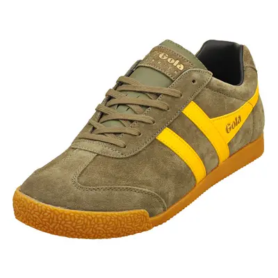 (7) Gola Harrier Mens Classic Trainers in Khaki Sun