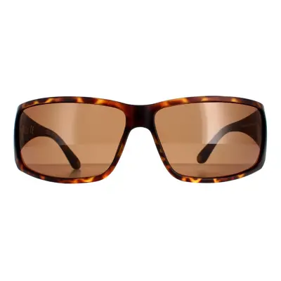 Police Sunglasses SPLB46 Origins 0738 Havana Brown