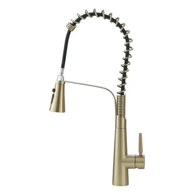 (Gold) Pre-rinse Pull Down Kitchen Faucet