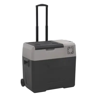 (50 L) vidaXL Cool Box with Wheel and Handle Cooler Box L Black and Grey PP and PE