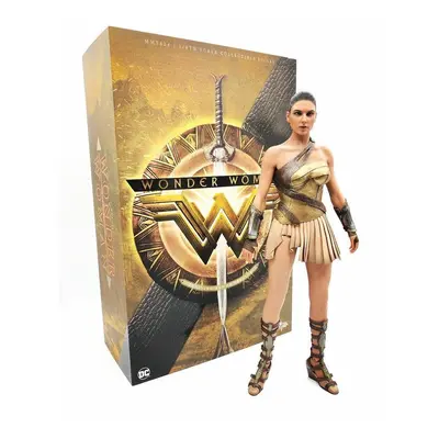 Figure Hot Toys MMS424 - DC Comics - Wonder Woman - Wonder Woman Training Armor