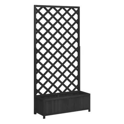 vidaXL Planter with Trellis Raised Bed Garden Planter Black Solid Wood Fir