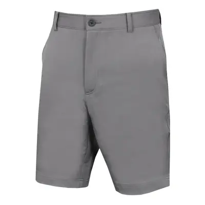 (30" Waist, Silver) Calvin Klein Mens Slim Fit Micro Tech Lightweight Golf Shorts