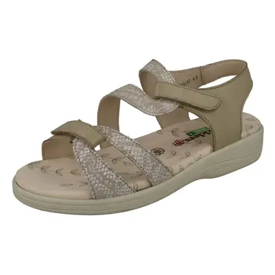 (UK 6, Grey) Ladies Padders Strappy Sandals Sunseek - 2E Fit