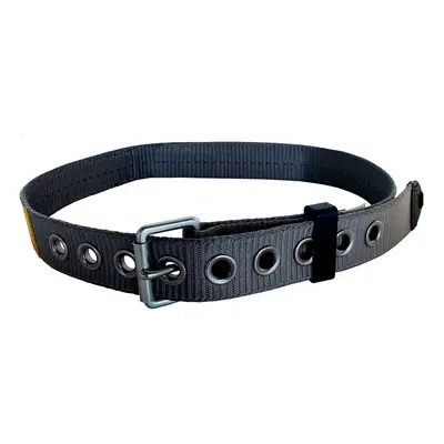 3M DBI-Sala Exofit NEX Tongue Buckle Belt 1000781, Large, Ea