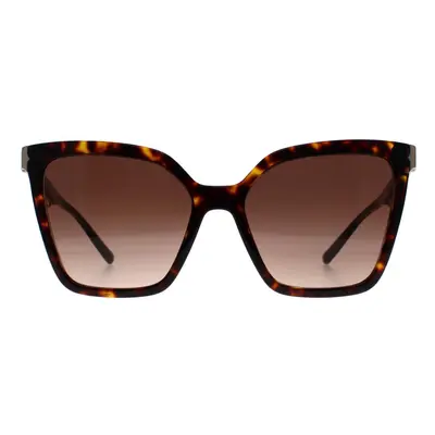 Bvlgari Sunglasses BV8253 504/13 Havana Brown Gradient